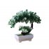  Indonesia Direct  Artificial Potted Plant for Home Dining table Office Decoration Orange