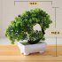  Indonesia Direct  Artificial Potted Plant for Home Dining table Office Decoration Pink