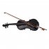  US Direct  1 Set Pine 4 4 Black Solid Wood Acoustic  Violin Case Bow Rosin black
