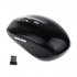  US Direct  2 4GHZ Portable Wireless Mouse Cordless Optical Scroll Mouse for PC Laptop  red