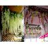  US Direct  Artificial Wisteria Flower Rattan Home Garden Outdoor Wedding Arch Decoration Pink