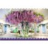  US Direct  Artificial Wisteria Flower Rattan Home Garden Outdoor Wedding Arch Decoration Pink