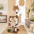  US Direct  AsyPets Cat Tree 50    Multi Level Pet Furniture