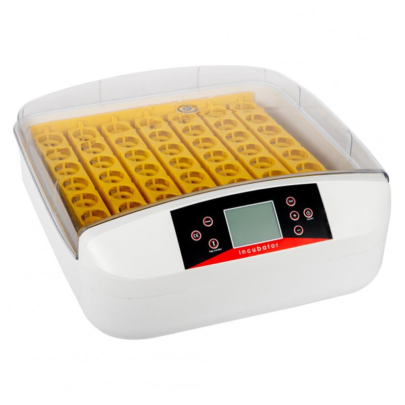US Automatic  Incubator American Standard Abs Transparent 56 Eggs Incubator For Household Laboratory White