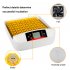  US Direct  Automatic  Incubator American Standard Abs Transparent 56 Eggs Incubator For Household Laboratory White