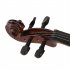  US Direct  Basswood 1 2 Acoustic Violin with Case Bow Rosin Inside Soft Box Natural Violin Musical Instruments Natural color