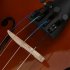  US Direct  Basswood 1 2 Acoustic Violin with Case Bow Rosin Inside Soft Box Natural Violin Musical Instruments Natural color