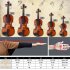  US Direct  Basswood 1 2 Acoustic Violin with Case Bow Rosin Inside Soft Box Natural Violin Musical Instruments Natural color