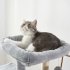  US Direct  Cat Tree Apartment with Sisal Grab Bar  Grab Board  Plush and Double Room  Cat Tower Furniture  Kitten Activity Center  Kitten Play House   10  discou