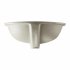  US Direct  Ceramic Oval Undermount White Bathroom Sink Art Basin