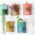  US Direct  Creative Home Wall Decoration  Wooden Wall Hanging Plant Terrarium Glass Planter Container Pink