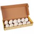  US Direct  Dinosaur Egg Digging Set Easter Archaeology Science STEM Gift Kids Educational Toys Set Multicolor