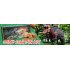  US Direct  Dinosaur Egg Digging Set Easter Archaeology Science STEM Gift Kids Educational Toys Set Multicolor