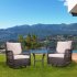  US Direct  Idealhouse 3 iron  plastic cover 3 weave rattan swivel chair 