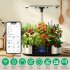  US Direct  JustSmart 4 in 1 Automatic Hydroponic Growing System for Indoor Garden