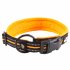  US Direct  Original Truelove Reflective Dog Collar with Plastic Clip in Buckle  High grade Soft Padded Nylon Webbing  No Choke Basic Collars  XS  Orange  Orang