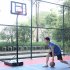  US Direct  Portable Removable Basketball Circle With Transparent Backboard Teenager Adjustable Height 210 260cm Black