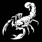 US Scorpion Totem Decals Car Stickers Car Styling Vinyl Decal Sticker for Cars Decoration white