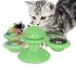  US Direct  Spinning  Windmill  Cat  Toy Interactive Balls Chew Hair Brush Toothbrush Turntable Massage Toy Green