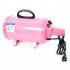  US Direct  Stl 1902 120v 2800w Pet Groomming Blow Hair  Dryer Dog Cleaning Accessories Pink