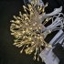 0 6w LED Fireworks String Light With Timing Function 8 Modes IP65 Waterproof Fairy Lights For Indoor Outdoor Decoration 5 pcs 50LED Waterproof battery box