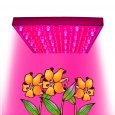 LED Grow Light