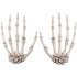1 Pairs Halloween Skeleton Hands Model for Halloween Decoration Terror Scary Props  10 7cm