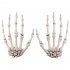 1 Pairs Halloween Skeleton Hands Model for Halloween Decoration Terror Scary Props  Number One 15 5 10cm