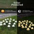 10 Lights 3m Mini Lights Solar  Mushroom Garlands  Solar Lighting String Light Garden Decorative  Waterproof Ip65 Fairy Lights For Patio Pathway Warm White
