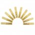 10 Pcs Alto bE Saxophone Reeds Bamboo 2 1 2 Sax Reed Strength 2 5 Musical Instrument Parts   Accessories Tenor