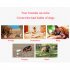 100 1 Dog Shock Collar 500m Dog Training Collar with Remote Rechargeable E Collar Orange
