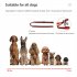 100 1 Dog Shock Collar 500m Dog Training Collar with Remote Rechargeable E Collar Orange