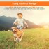 100 1 Dog Shock Collar 500m Dog Training Collar with Remote Rechargeable E Collar Orange