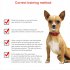 100 1 Dog Shock Collar 500m Dog Training Collar with Remote Rechargeable E Collar Orange