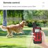 100 1 Dog Shock Collar 500m Dog Training Collar with Remote Rechargeable E Collar Orange