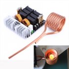 1000W ZVS Low Voltage Induction Heating Board Module Flyback Driver Heater DIY ZVS high frequency induction heating machine