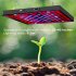 1000w 169led Grow  Light Plant Growing Lamp Full Spectrum For Indoor Plants Hydroponics EU plug