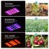 1000w 216led Waterproof Grow  Light Growing Lamp Full Spectrum For Indoor Plant Hydroponic US plug