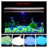 100PCS Luminous Stone Fluorescence Cobblestone Pebble for Home Aquarium Decoration Mixed color  colourful 