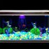 100Pcs Pack Luminous  Stone For Fish Tank Landscaping Villa Garden Decoration blue