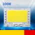 100W 150W 200W 220V Driverless COB LED Lamp Bead for Outdoor Lighting