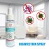 100ml Antibacterial Disinfection Spray Disposable Hand Sterilizer Home Disinfection 100ML