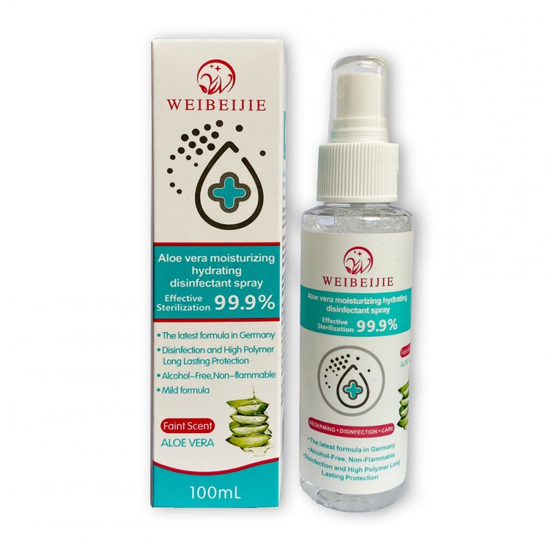100ml Antibacterial Disinfection Spray Disposable Hand Sterilizer Home Disinfection 100ML