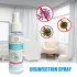 100ml Antibacterial Disinfection Spray Disposable Hand Sterilizer Home Disinfection 100ML