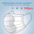 100pcs Disposable Filter for Mask Breathable Universal Skin Friendly Protective Filter 100 Pcs opp