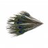 100pcs High Quality Real Natural Peacock Feathers About 10 12 Inches