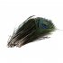 100pcs High Quality Real Natural Peacock Feathers About 10 12 Inches