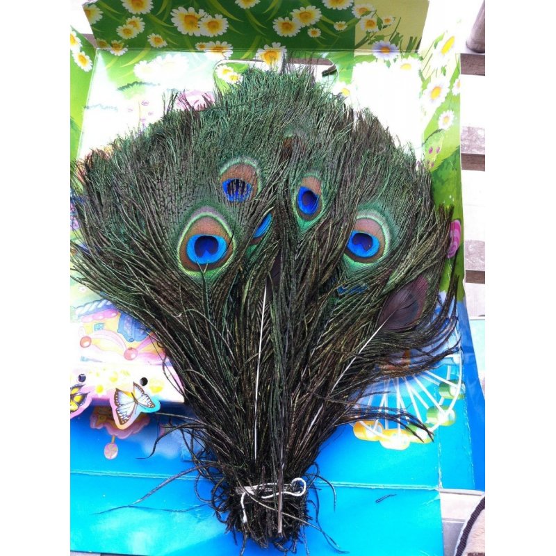 100pcs Real Natural Peacock Feathers