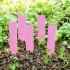 100pcs Plant  Tag Garden Label Plastic Hanging Waterproof Tagging Nursery Pot Marker red