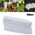 100pcs Plant  Tag Garden Label Plastic Hanging Waterproof Tagging Nursery Pot Marker red
